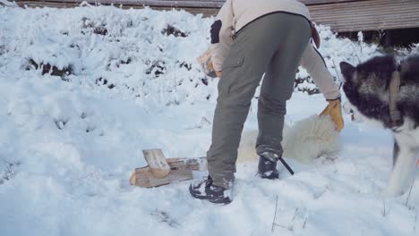 Hombre-Sujetando-Trozos-De-Troncos-Apilados-En-Un-Suelo-Cubierto-De-Nieve-Junto-A-Su-Perro