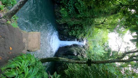 young man jump head first off a cliff diving platform fronting kroya waterfall amid lush tropical jungle, aling aling bali