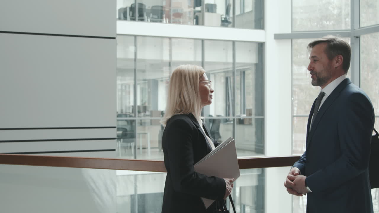 Female Lawyer Talking to Business Man in Office