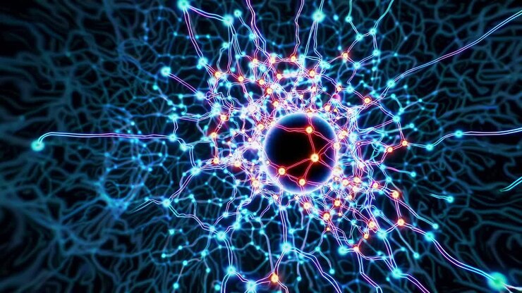 Visualizzazione della rete neurale