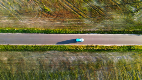 electric car drives on a road surrounded by greenery and autumnal colors