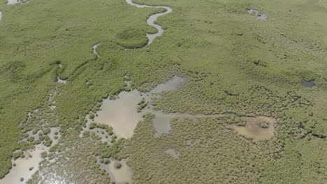 Langsamer-Luftüberflug-Des-Flusses-Gambie,-Der-Durch-Die-Wasserwälder-In-Gambia-Fließt