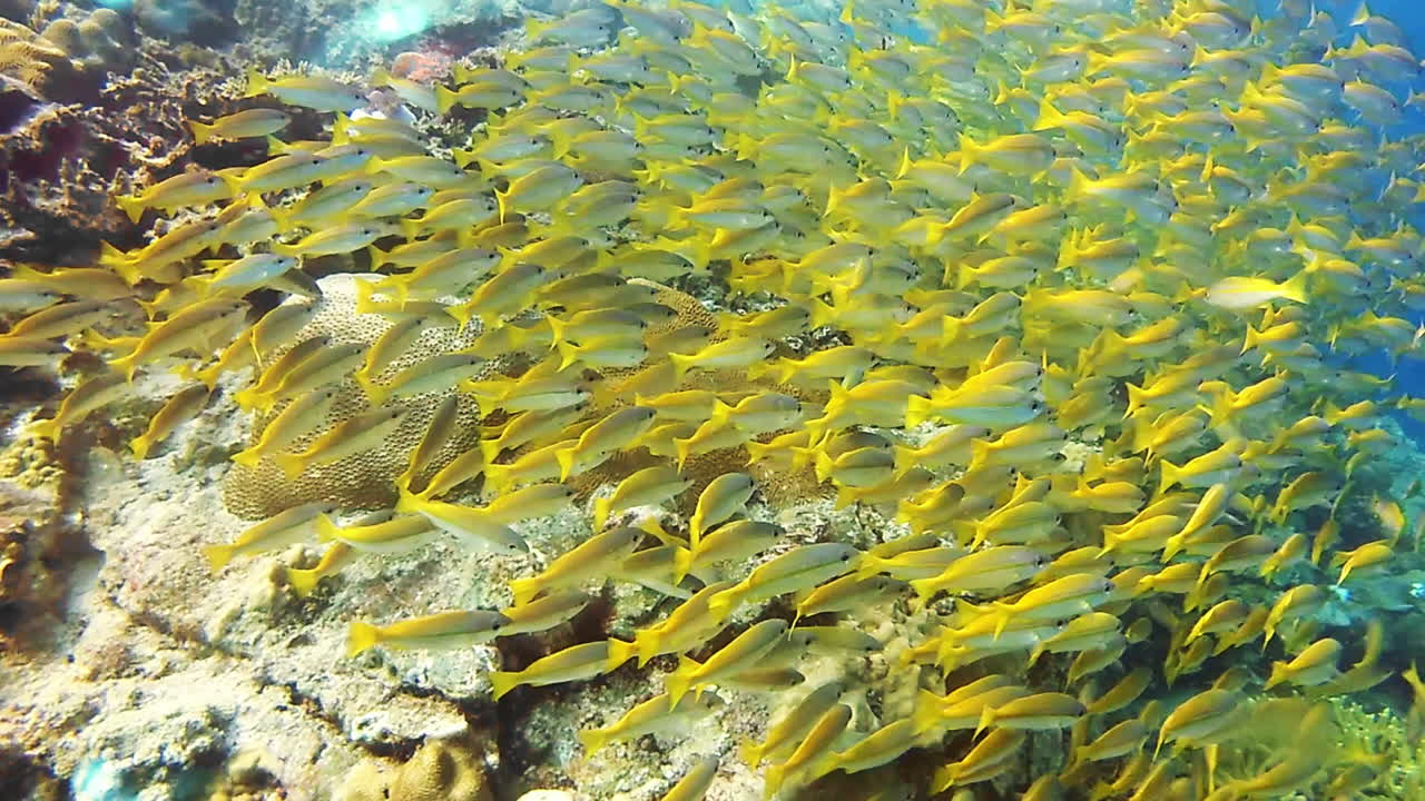 가장 좋은 전망은 가장 깊은 표면  ⁇ 에 있습니다.