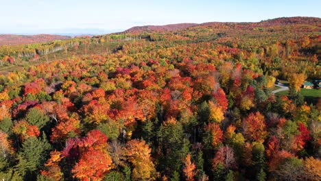 Luftbild-Absteigend-Von-Haus-In-Bewaldeter-Landschaft-Im-Herbst