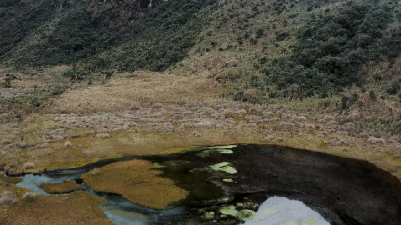 montañas andinas cubiertas de vegetación en la reserva ecológica cayambe coca en napo, ecuador