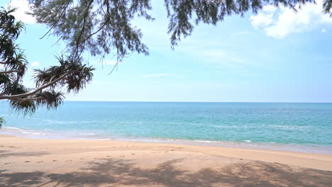 view of the beach and ocean through tree branches