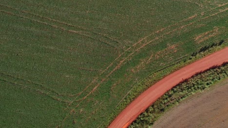 Luftaufnahme-Von-Sojabohnenfeldern-Beim-Überqueren-Einer-Roten-Schotterstraße,-Um-Im-Kontrast-Dazu-Die-Natürliche-Brasilianische-Savanne-Zu-Sehen