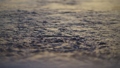 surface de l'eau au coucher du soleil