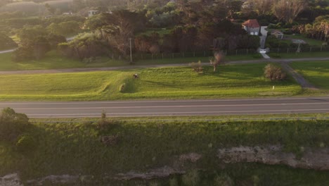 Hombre-Montando-A-Caballo-Al-Atardecer,-Argentina