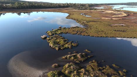 aerial birds eye shot of wetland with plants and bush near coles bay, tasmania