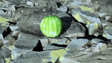 bayas de frutas de sandía en piedras rocosas