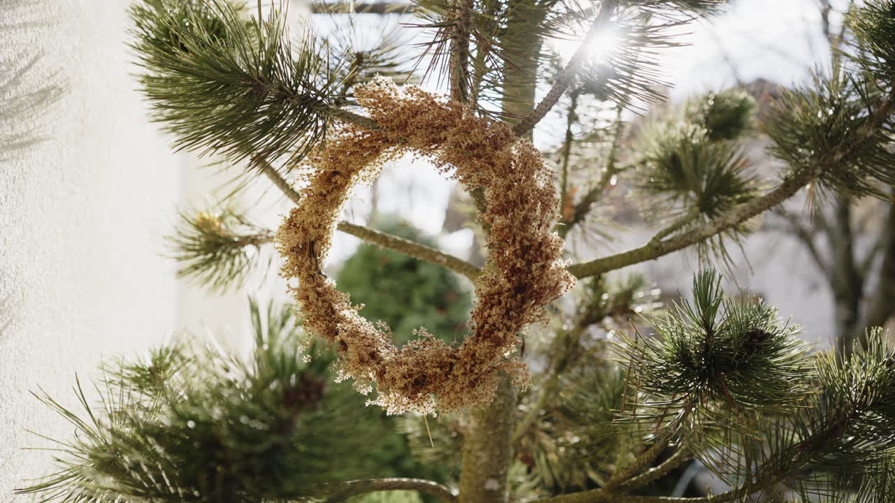 Dried Flower Wreath Hanging on a Pine Tree