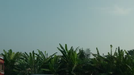 Selva-De-árboles-Tropicales-En-La-India-Desde-La-Perspectiva-De-La-Ventana-Del-Coche