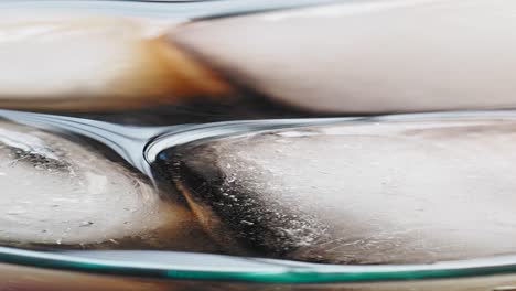 close-up of ice cubes in a glass of cola