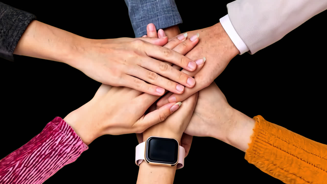 People stacking hands animated overlay, transparent 4K video, alpha channel, ProRes 4444