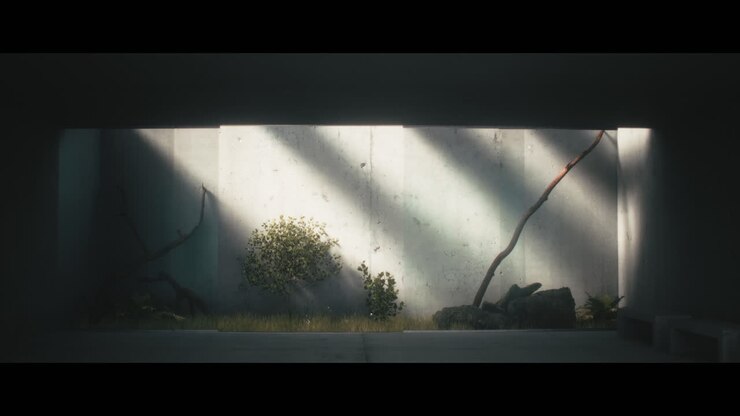 Minimalist Concrete Interior Garden