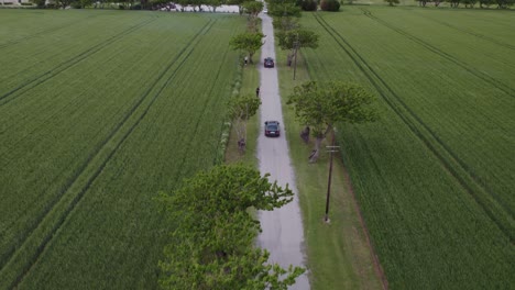 Scenic-Road-Trip-Through-Green-Fields-with-Aerial-View-of-Car-and-Wind-Blowing