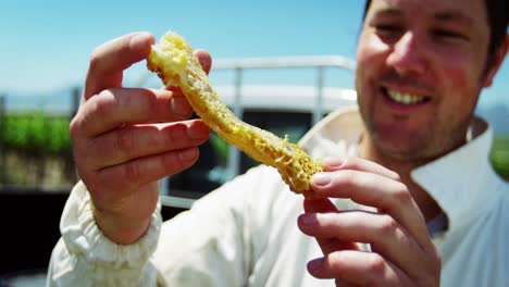 beekeeper holding a piece of fresh honeycomb