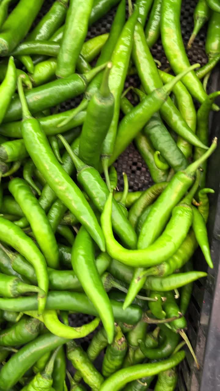 Close-up View of Fresh Green Chili Peppers