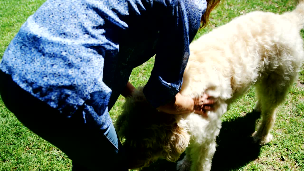 정원에서 개를  ⁇ 는 성숙한 여성 4k