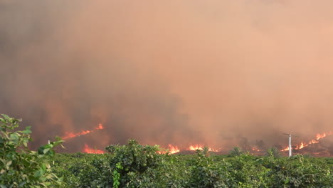 Destructive-Wildfire-Burning-Terrain-in-Hernet-California-Fairview-Fire-Seasson