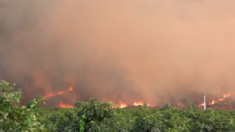 destructivo terreno en llamas de incendios forestales en hernet california fairview temporada de incendios