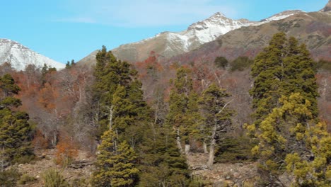 Camera-shot-of-mountains-and-trees-from-below-in-Radal-7-Tazas-national-park