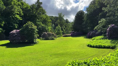 parque paraíso verde en la tierra