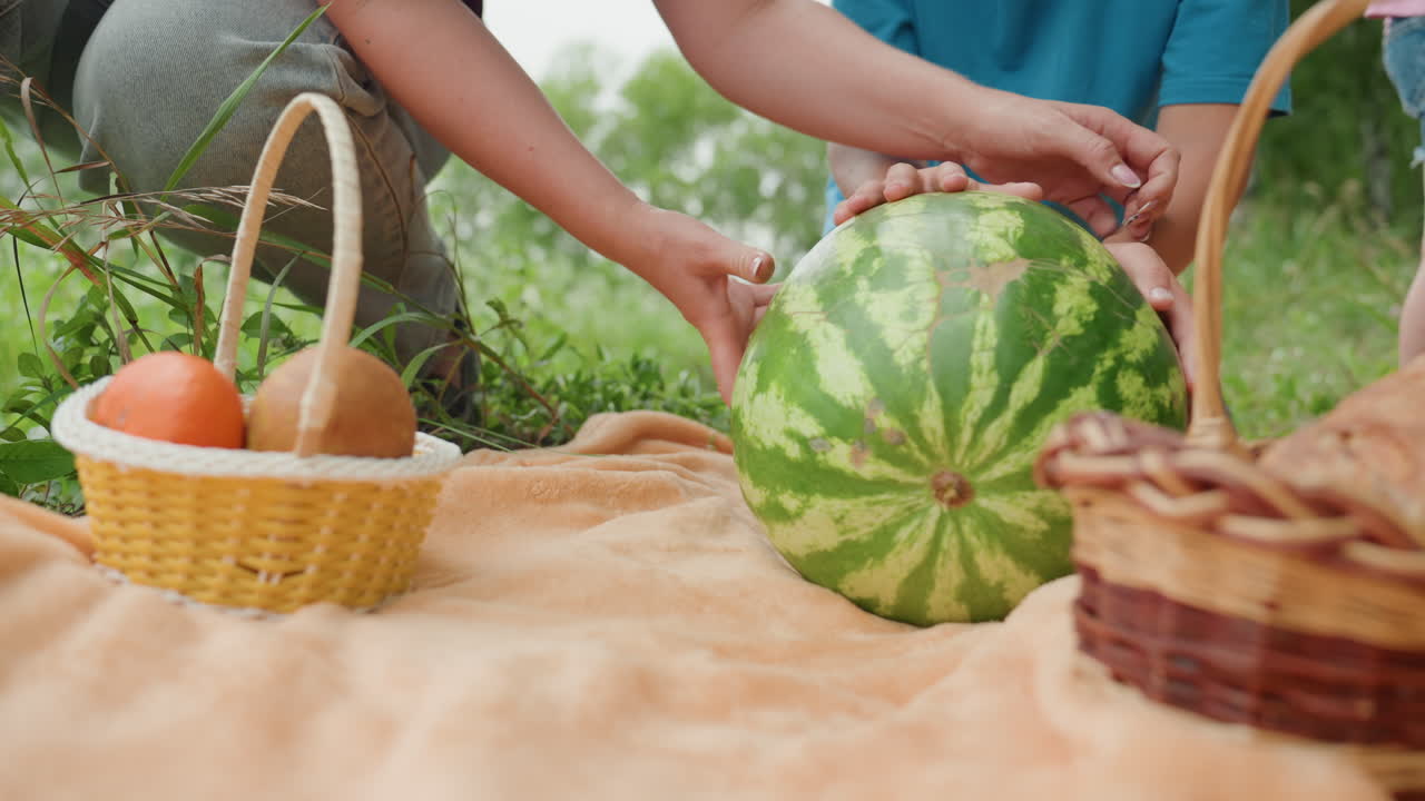 피크닉 담요 위에 수박을 놓는 손, 신선한 농산물을 정리하는 홈쿡, 오렌지와 배가 담긴 버드나무 바구니, 풀이 무성한 초원 위로 부드럽게 비치는 햇빛, 껍질 질감과 촉각적인 손길을 클로즈업한 이미지