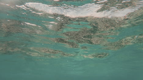 cinematic underwater shot of the water surface in slow motion with very clear waters in blue, 120fps, 4k, slomo