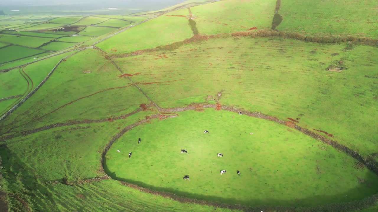 Aerial view from drone of Terceira Island - Pico Dona Joana