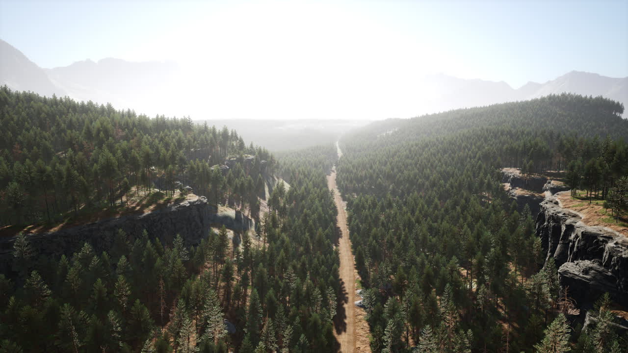 paisaje forestal panorámico con vistas a las montañas