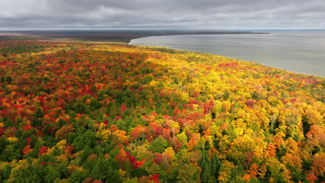 Toma-De-Un-Dron-Del-Bosque-En-Otoño-Y-El-Lago-Superior-En-El-Fondo