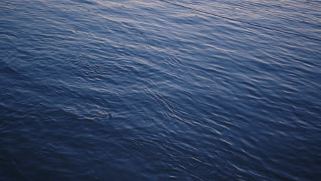 Calm-River-Water-In-The-Late-Afternoon,-Slowmotion