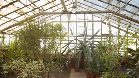 plant nursery