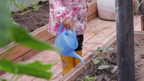 niño diminuto regando plantas a una edad temprana