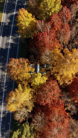 drone flying over a road through a colorful autumn forest