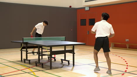 playing table tennis, man celebrating victory in indoor sports facility