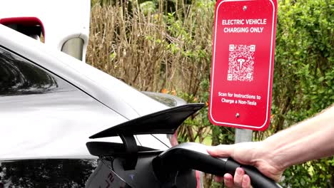 close-up of a charging cable being connected to an electric vehicle at a designated charging spot.