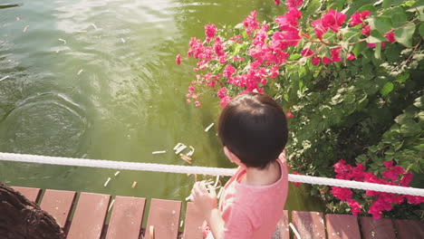 slow motion clip of a two year old asian boy having fun feeding bread to fish in a pond from a wooden bridge on a sunny day