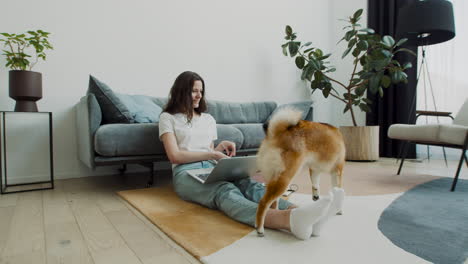 beautiful young female feeds her dog while working on her laptop at home