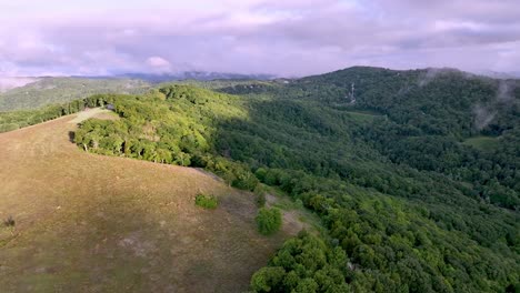 Whitetail-Deer-in-field-near-Boone-NC,-North-Carolina