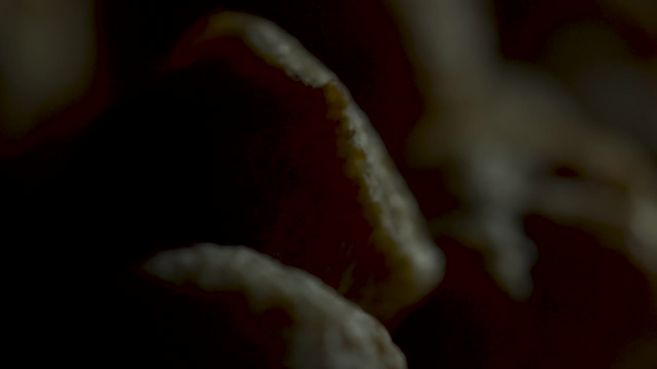 luz dramática deslizar a través del marco alto detalle macro comida animal aislado