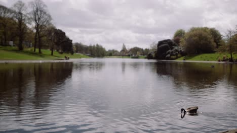 Lago-Del-Parque-En-Cámara-Lenta-En-Liverpool