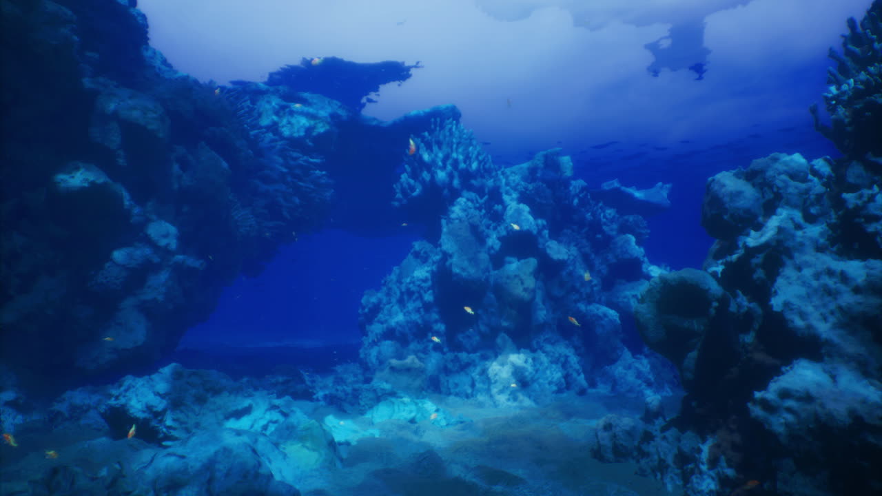 Underwater coral reef showcasing diverse marine life in clear waters