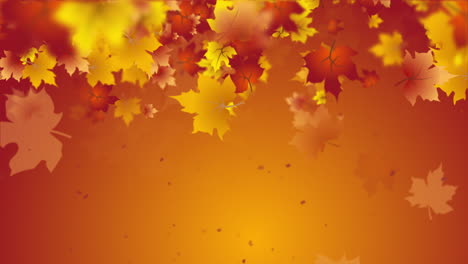 orange abstract autumn background with falling and swirling maple leaves. animated holiday frame with empty space for text. looped motion graphics.