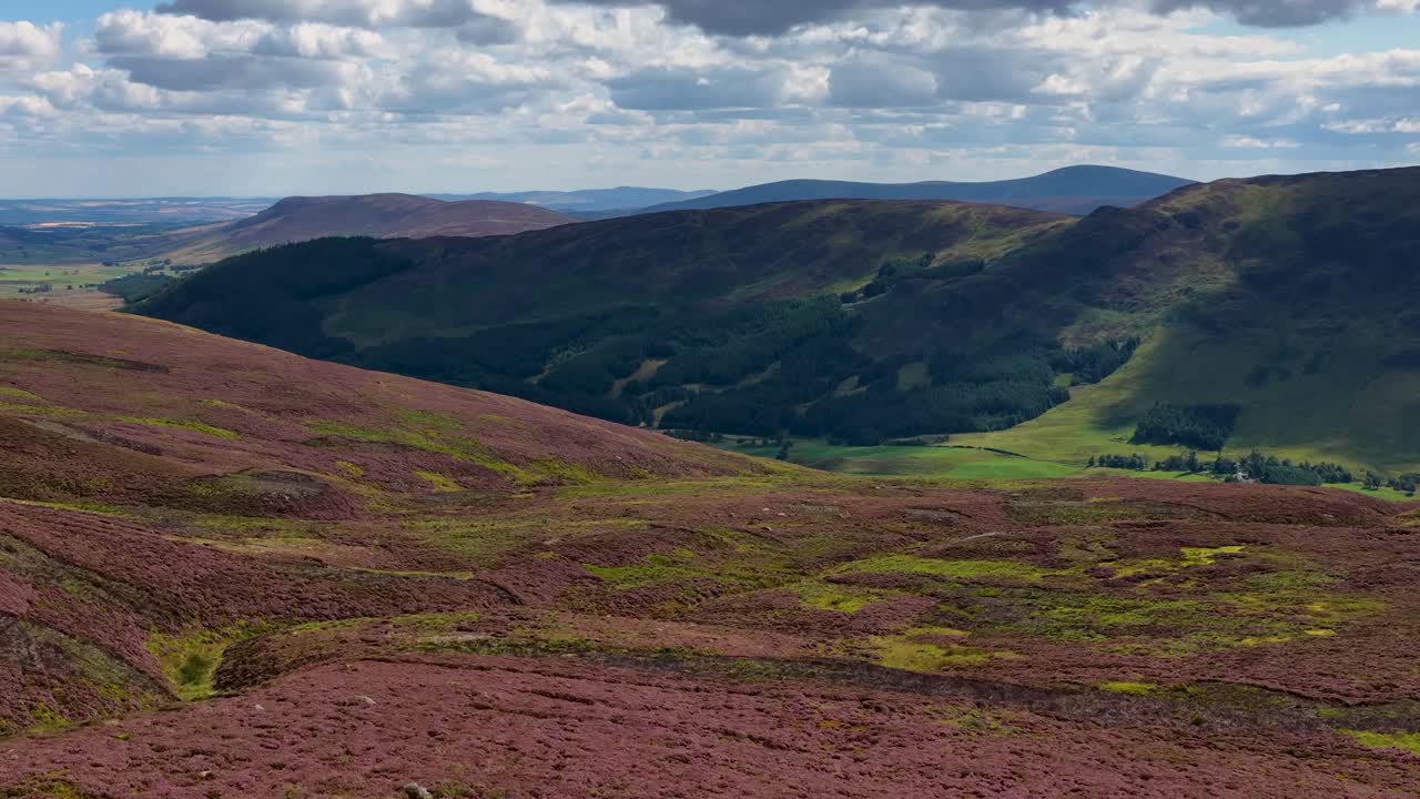 Drone camera smoothly pans across heather-covered mountains under cloudy daylight in the Scottish Highlands