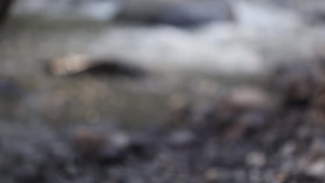 video borroso de arroyos de montaña