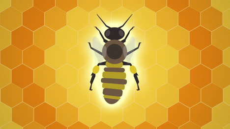 Honey-Bee-Hovering-over-Pulsing-Pattern-of-Hexagonal-Honeycomb,-Animation,-Seamless-Loop