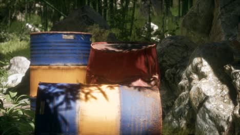 Rusty-barrels-in-green-forest